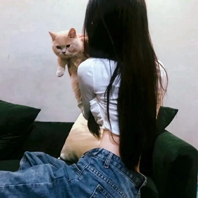 我的女友比我帅